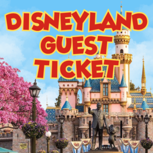 Disneyland Guest Ticket